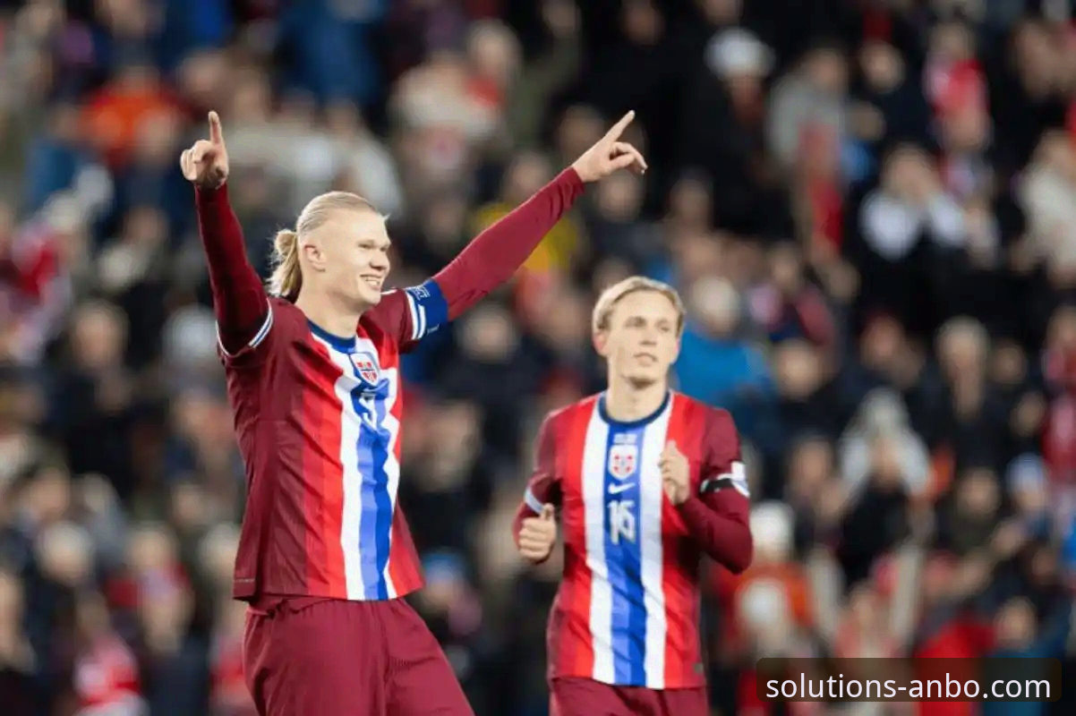 揭秘四星意大利缘何折戟：从一场点球大战看企业客户物流的“韧性”考验